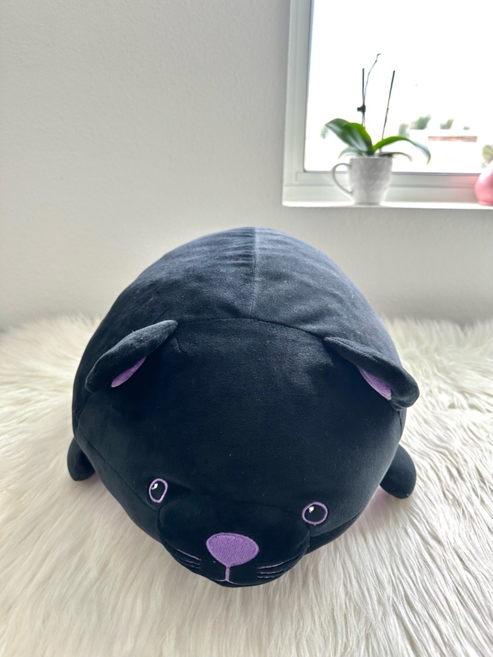 SMOOCHY PALS CAT